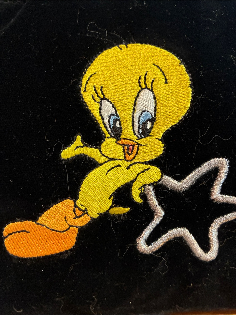 Tweety Bird Warner Bros. Purse with a faux velvet exterior. Interior pocket.